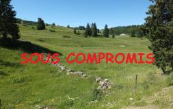 640 PROCHE DE LAJOUX : POUR INVESTISSEURS : Grande parcelle de terrain constructible
