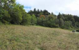 545 SEPTMONCEL : Terrain constructible