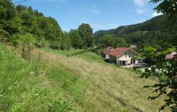 578 SEPTMONCEL : Grande parcelle de terrain constructible 