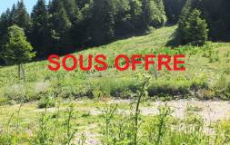 642 PREMANON : Terrain constructible à vocation touristique