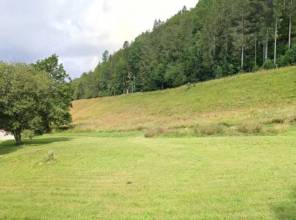 751 LAJOUX : 2 parcelles de terrains constructibles