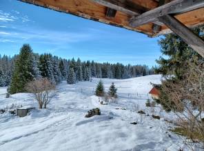 780 LES MOUSSIERES : Maison ancienne isolée sur 5,7 ha de terrain 