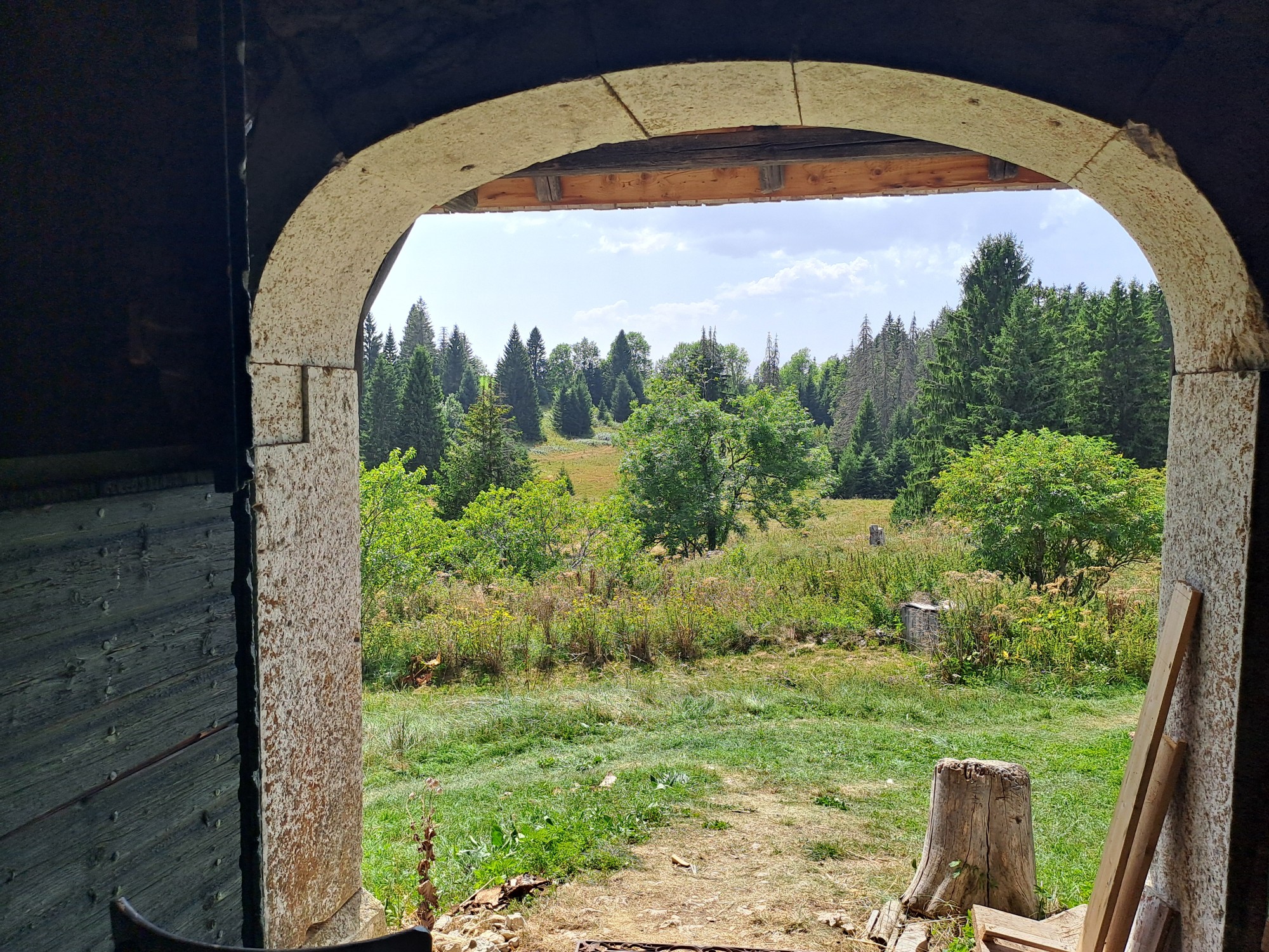 lorem ipsum dolor sit