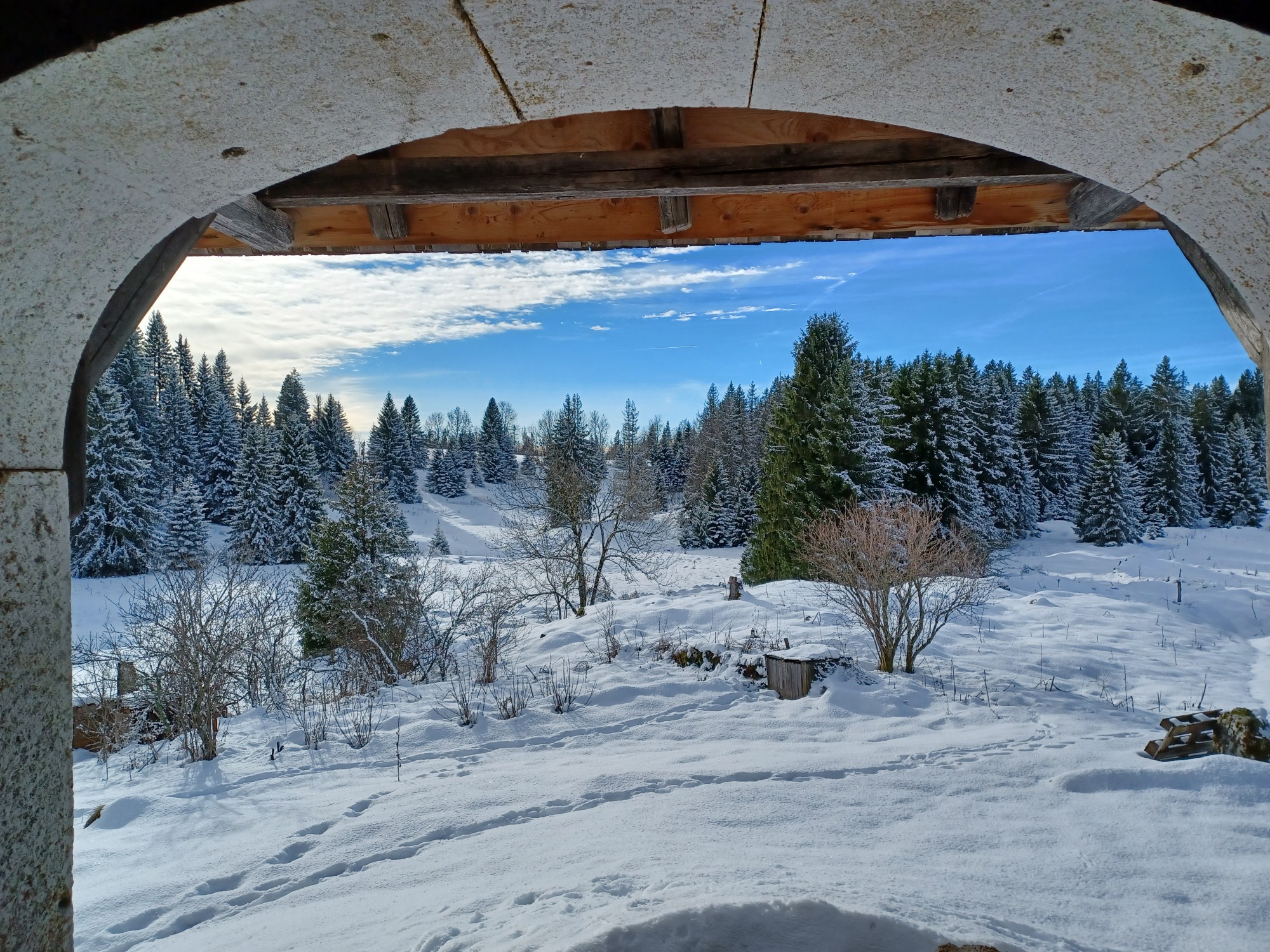 lorem ipsum dolor sit